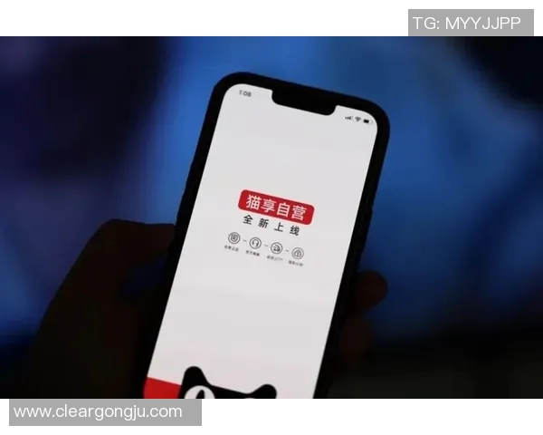 京东不死鸟与金泽的较量谁将成为电商领域的新王者