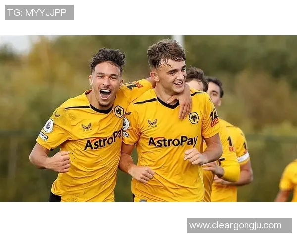 桑德兰对阵狼队精彩对决回顾及赛后分析全景报道